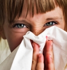 Dust Mites Aggravate Allergies