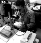 Testing Bed Bugs at Texas A&M